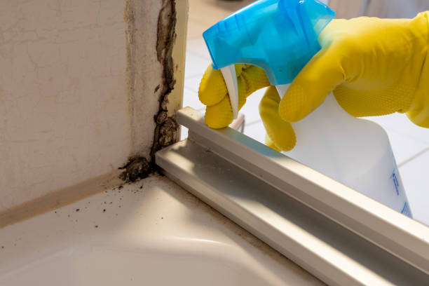 Best Commercial Mold Inspection  in Emah, OK